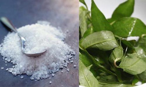 Cách se khít lỗ chân lông hết nám cach-se-khit-lo-chan-long-het-nam