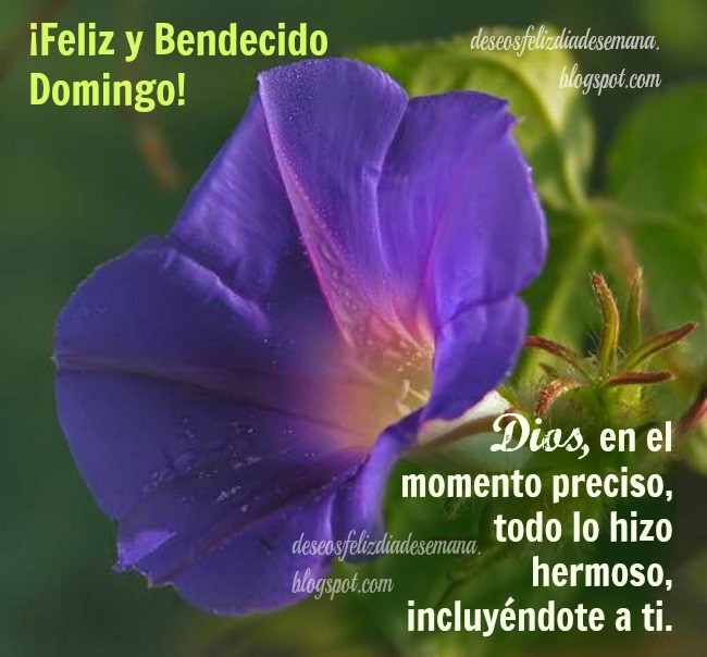 Feliz y Bendecido Domingo. 