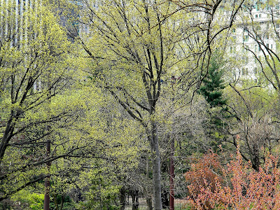 Spring New York City