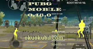 Pubg Mobile 0.18.0 Mod Menü Enjector ESP V3 Hileli İndir 2020 No Root