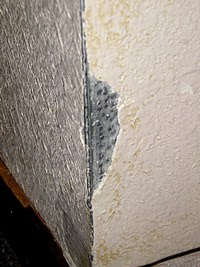 damaged drywall corner bead