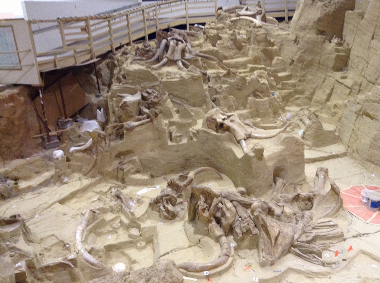 Terria Gary: Mammoth SITE Hot Springs, South Dakota ( note... no hot ...