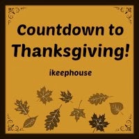 All Countdown to Thanksgiving Posts