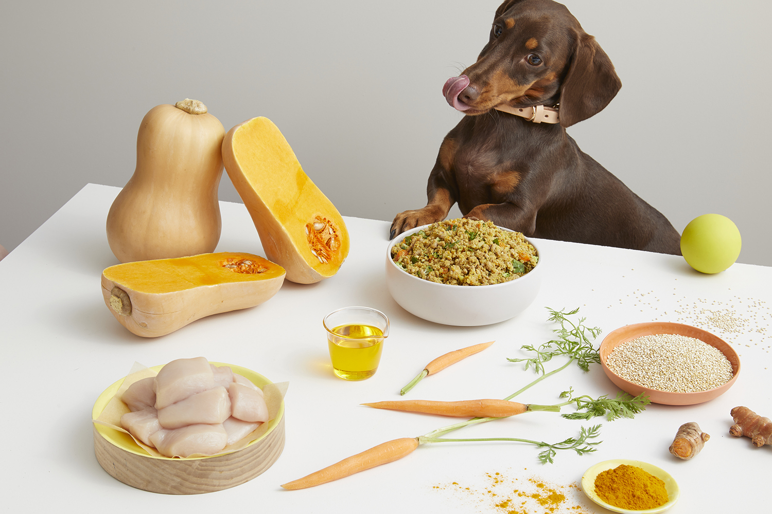 Lyka Pet Food acquires The Wholesome Dog Australian Dog Lover