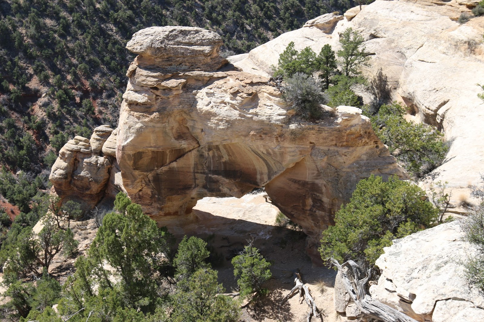 Glade Park Area (11)