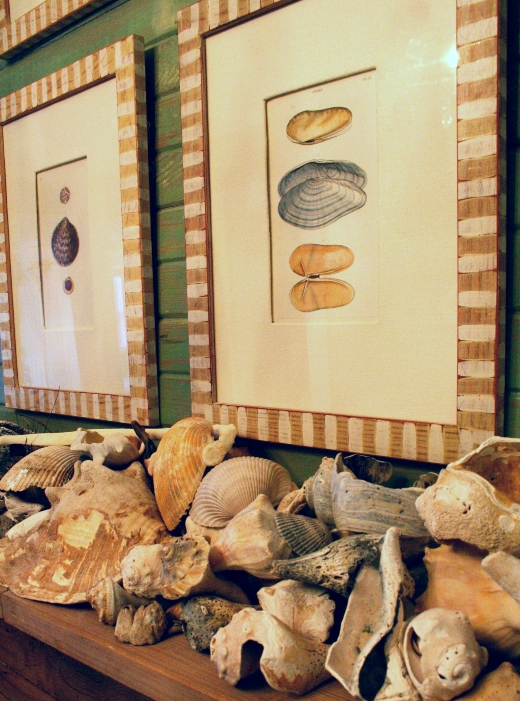 How to Decorate with Shell Prints