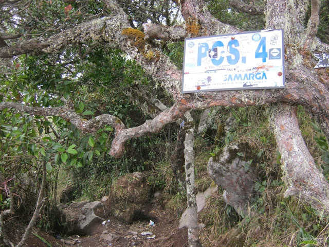 pos 4 gunung lawu via cemoro sewu