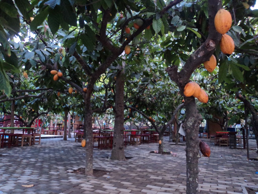 Wisata Kampung Coklat Blitar Yang Bikin Ketagihan