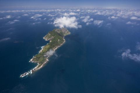 جزيرة الأفاعي الجزيرة الأخطر في العالم جزيرة الأفاعي الجزيرة الأخطر في العالم