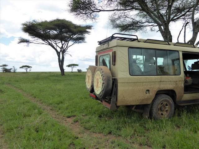 auto 4x4 safari al serengeti