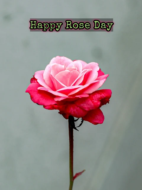 Rose day Bangla Sms