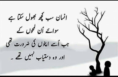 Best Urdu Hindi Poetry with pictures and text