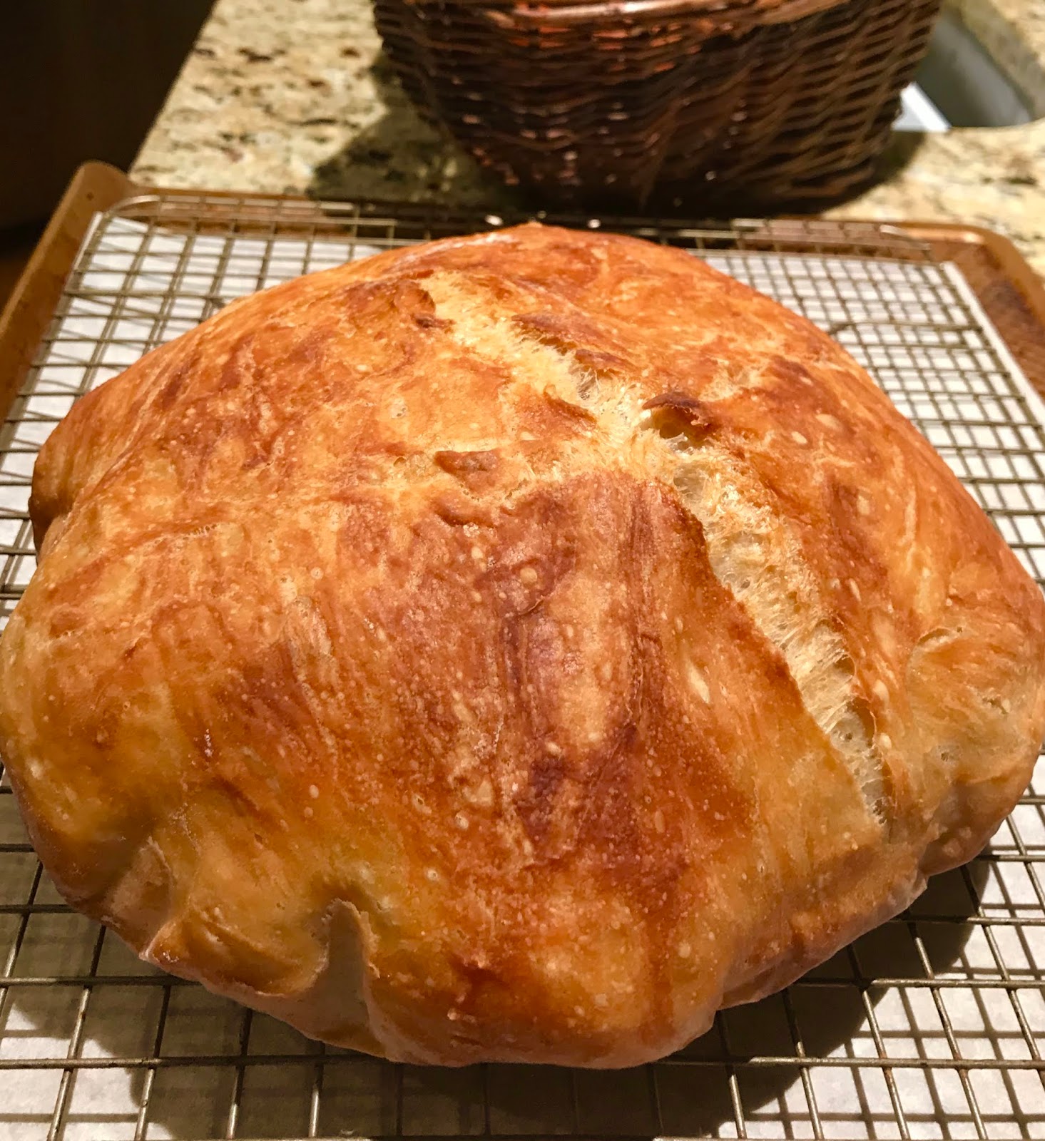 The NY Times No Knead Bread