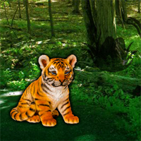 WowEscape Help the Lonely Tiger Cub Walkthrough