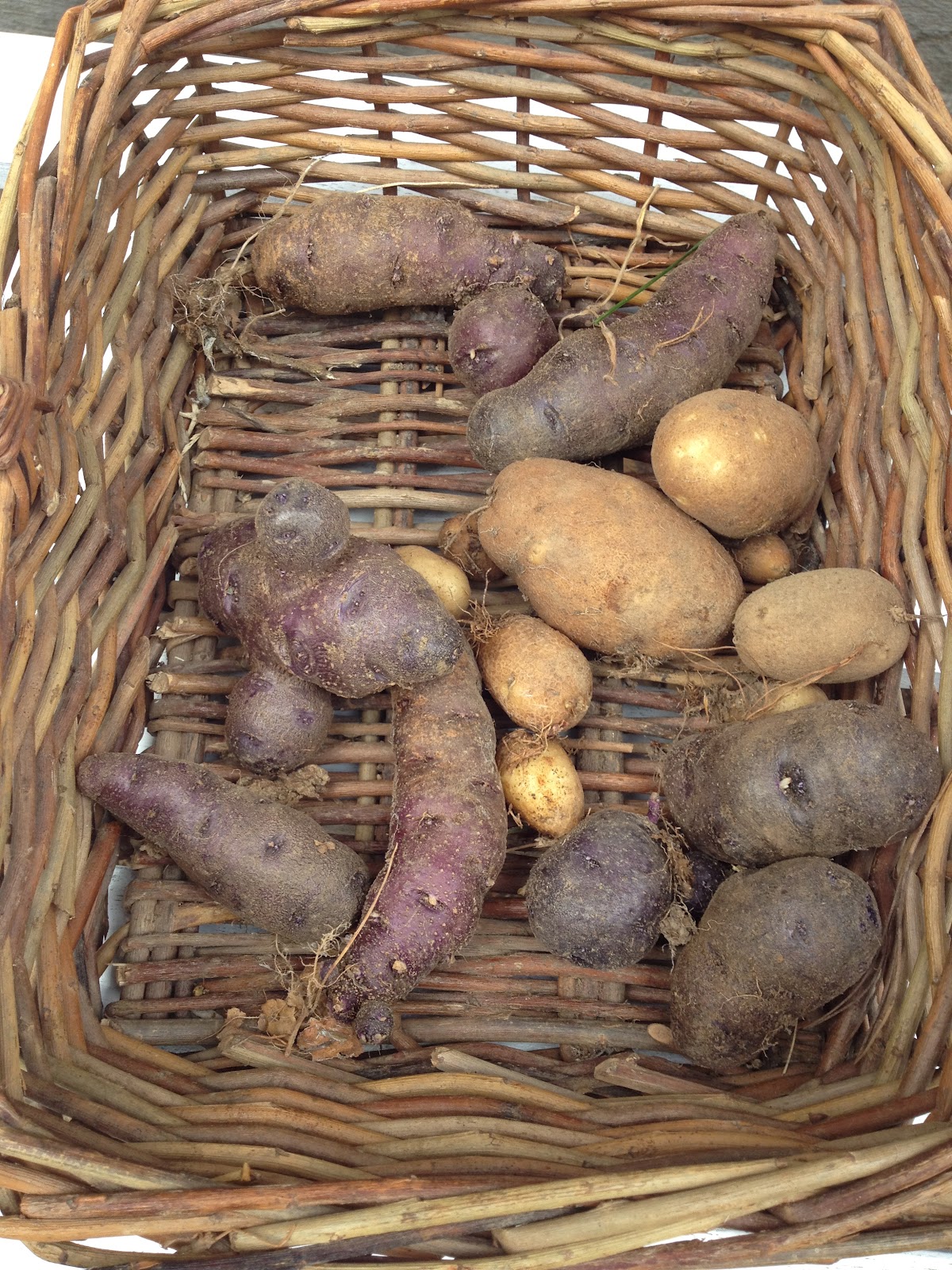 Fast, Cheap, and Good Sustainability, One Choice at a Time The