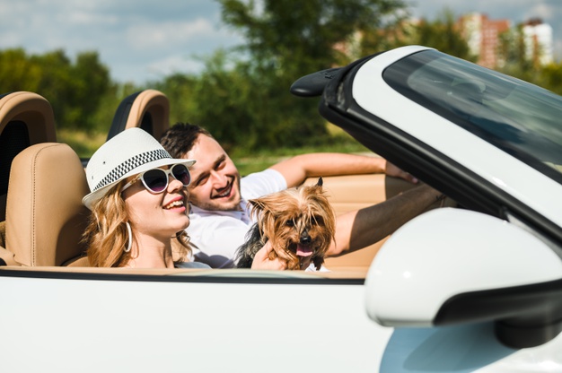 6 Tips For Safe And Secure Car Travel With Pets