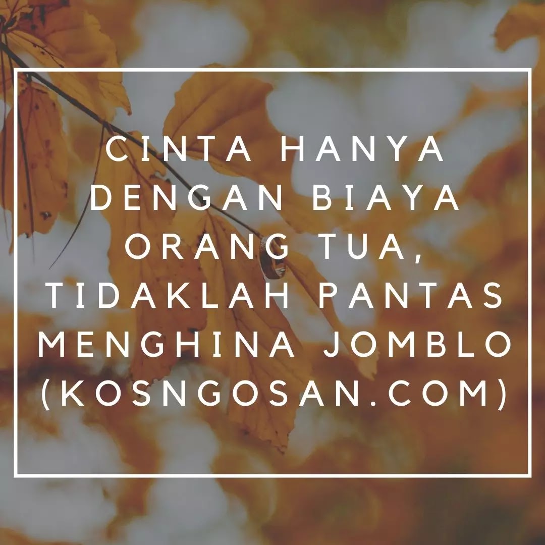 100 Kata Kata Jomblo Bijak yang Keren Buat Caption KOSNGOSAN 100 Kata Kata Jomblo Bijak yang Keren Buat Caption KOSNGOSAN