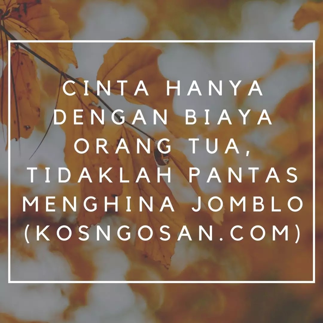 100 Kata Kata Jomblo Bijak Yang Keren Buat Caption Kosngosan