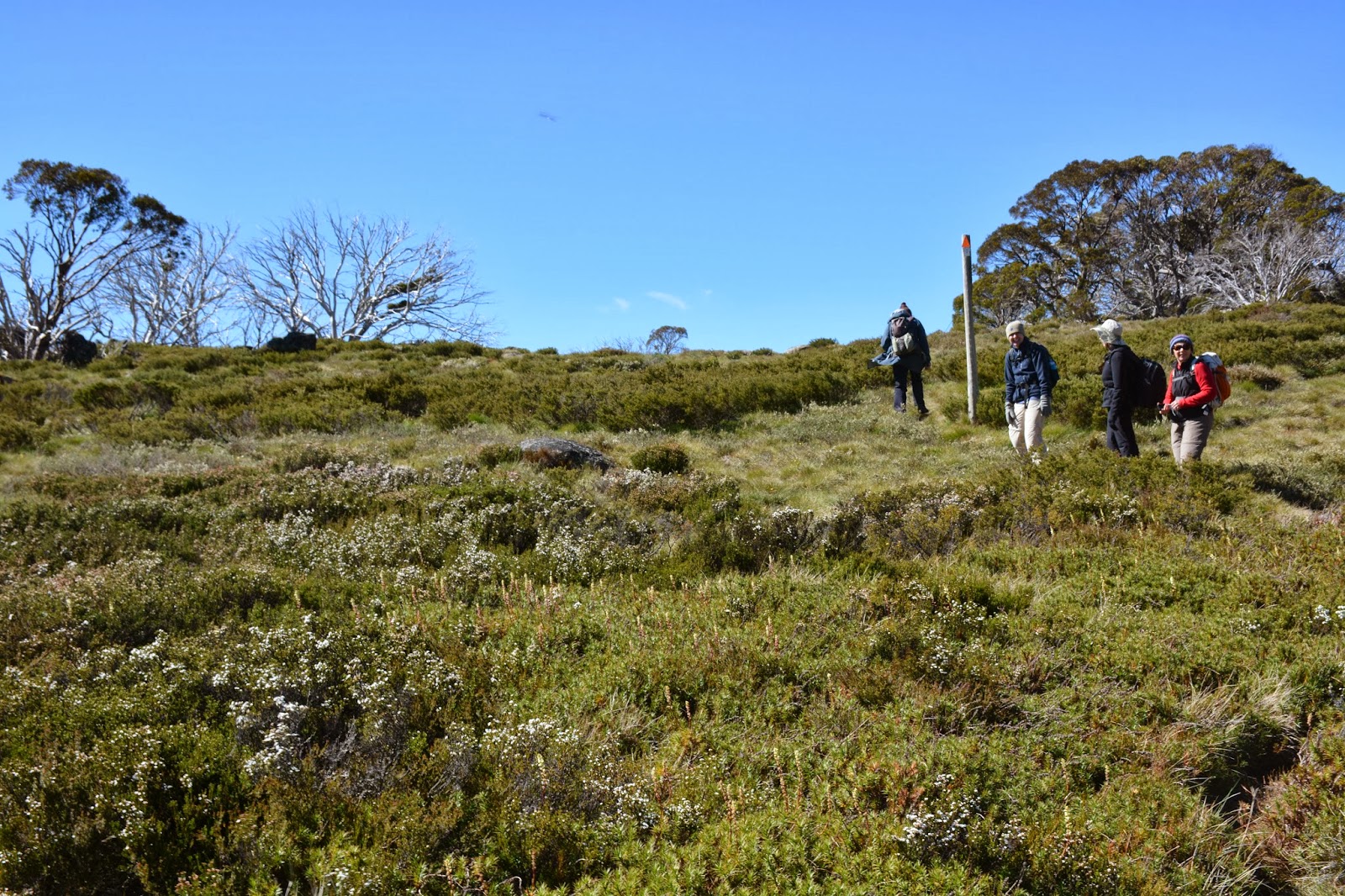 walkabouters club of victoria inc: Porcupine Rocks and return.
