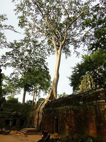 Día 13: Templos de Angkor - Vietnam y Camboya en septiembre (2)