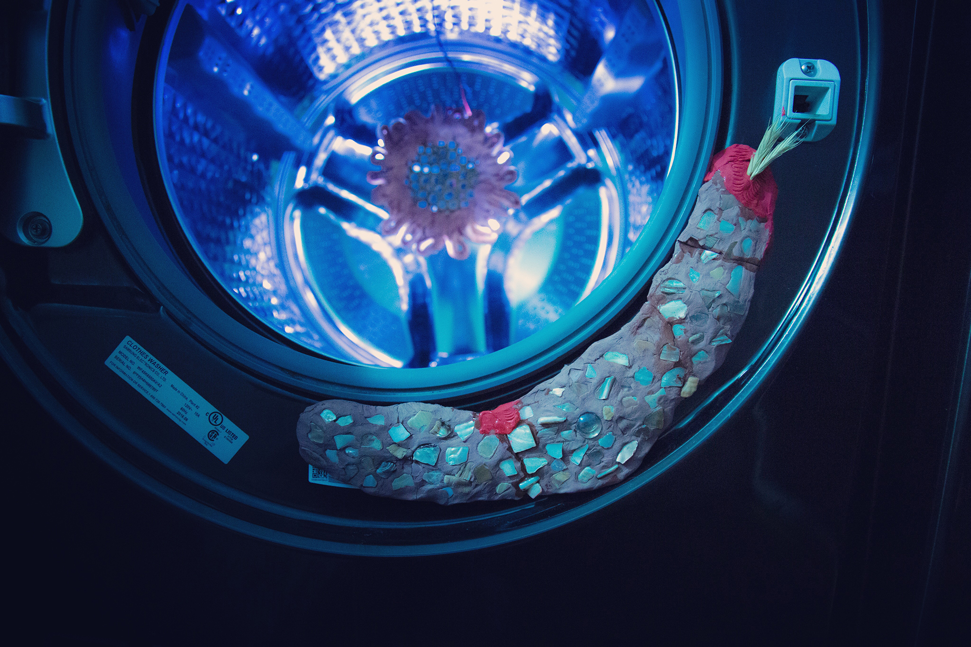 Daily Lazy Andy Ralph at Washer Dryer Projects / Salt Lake City