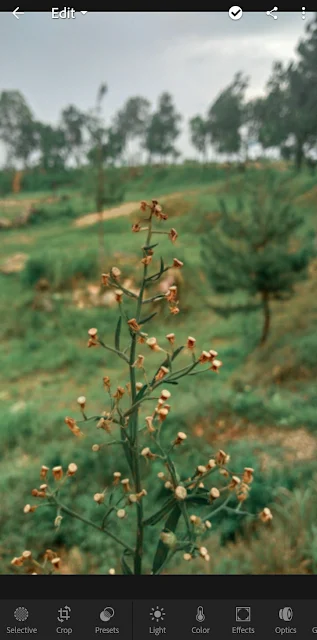 Cara Mengedit Foto Di Lightroom Cara Mengedit Foto Di Lightroom