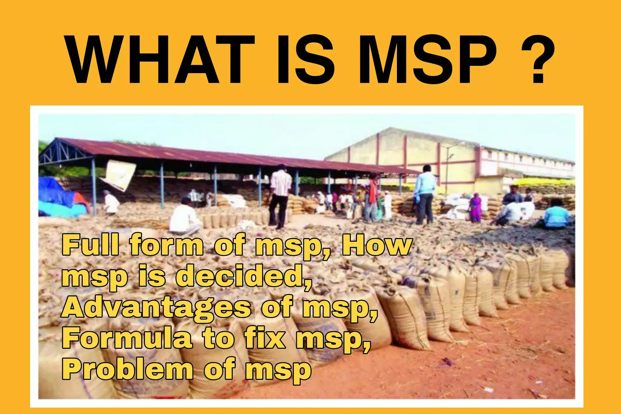 What is MSP?  Full name of msp, how msp is decided, advantages of msp, formula to fix msp, problem of msp