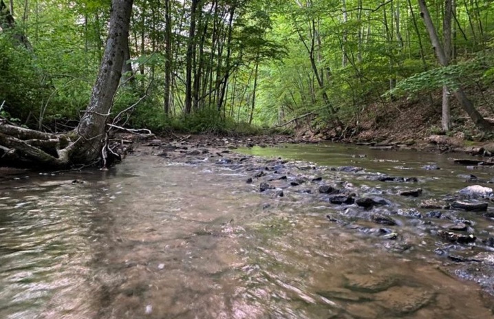 PA Environment Digest Blog: Western PA Conservancy Acquires 50 More