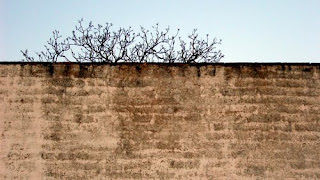 O Muro Divisor