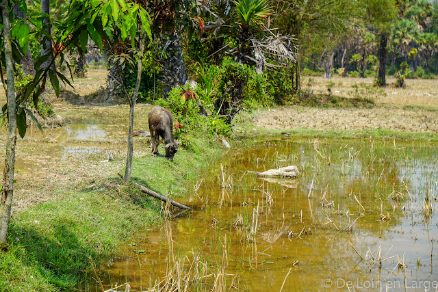 Village d'Angkor - Cambodge