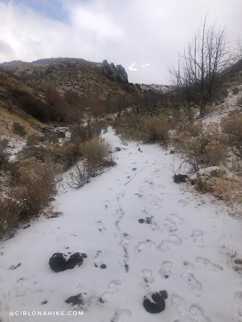 Hike to Paul Bunyan's Woodpile, Utah