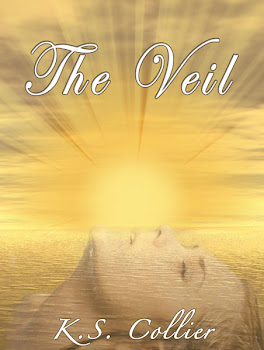 The Veil by K.S. Collier