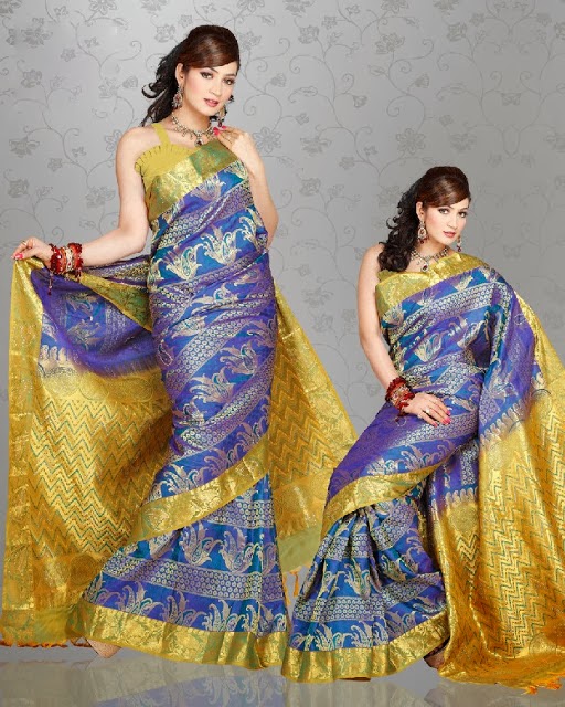 Latest Silk Sarees Collection For Women At New Year 2014