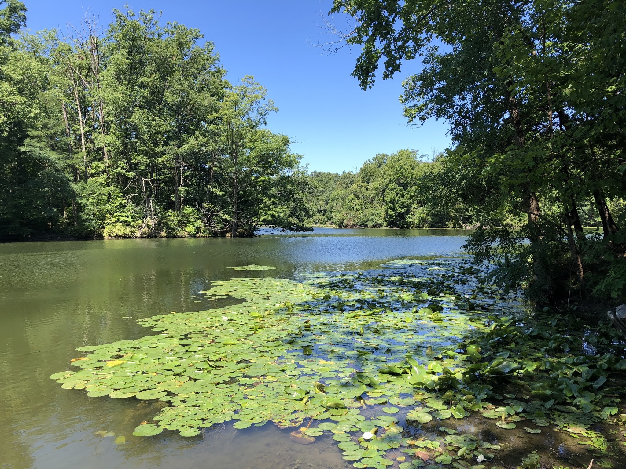 Life at the Blue Rock Ranch