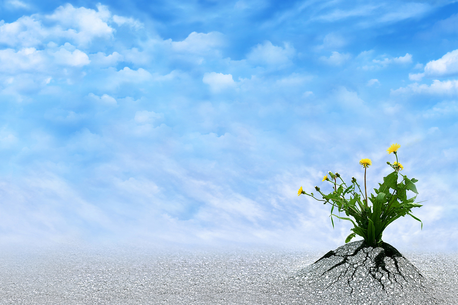 بحث تطوير الذات PDF تطوير الذات وتعزيز الثقة بالنفس. التنمية البشرية الحديثة