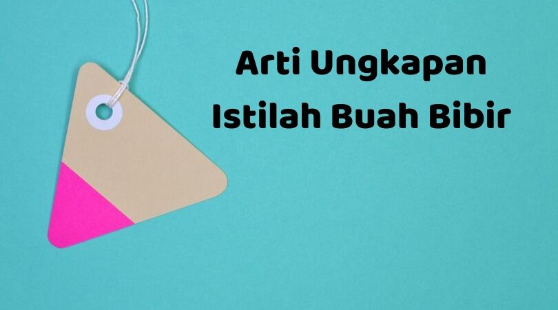 44++ Contoh kalimat buah bibir ideas in 2021 
