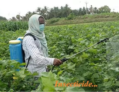 Disaster caused by pesticides