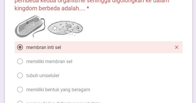Contoh Soal Akm Penjas Contoh Pengenalan Soal Akm 8 Tolong Di Jawab Secepatnya Kak File Administrasi Guru