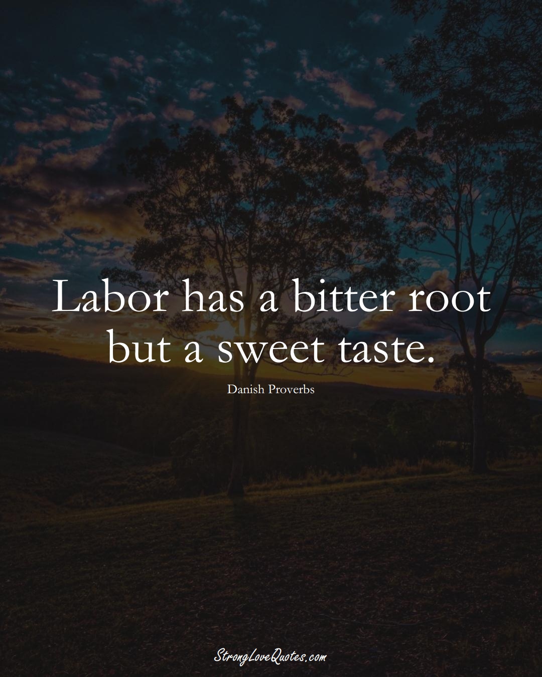 Labor has a bitter root but a sweet taste. (Danish Sayings);  #EuropeanSayings
