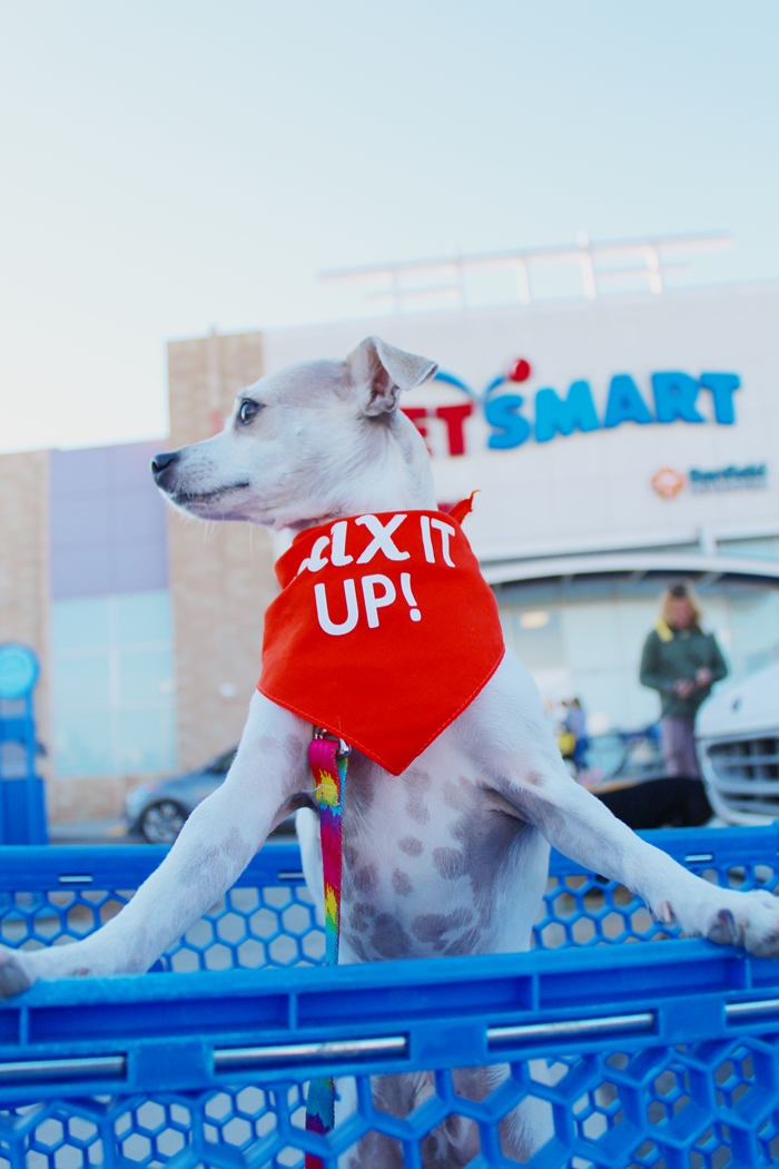 HAPPYHAZEL Let's MixItUp ! Instinct Raw Boost Mixers Review!