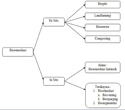 Bioremediasi - Ini Itu