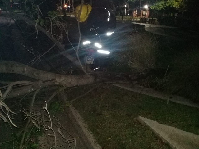 WhatsApp%2BImage%2B2021-04-11%2Bat%2B10.08.01