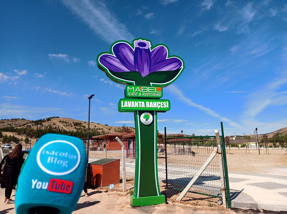 Mamak Gökçeyurt Lavanta Bahçesi