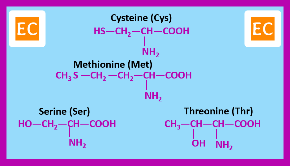 ELEMENTAL CHEMISTRY Essential Amino Acids