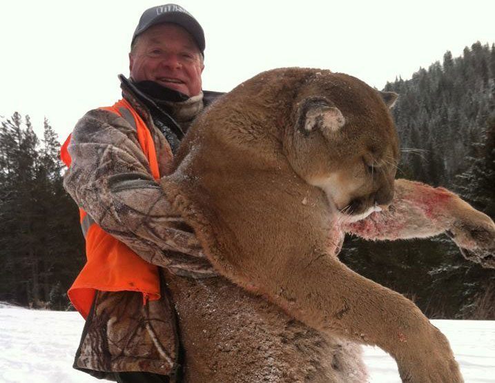 daily timewaster Fatal Mountain Lion Attack in Washington State