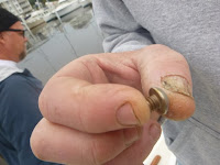 boat maintenance and repair