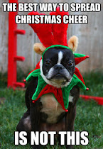 Grumpy Holiday Dog