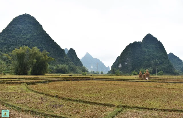 Phong Nam Valley, Cao Bang