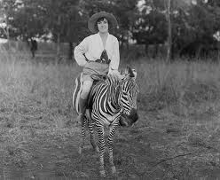 osa johnson 1930s zebra