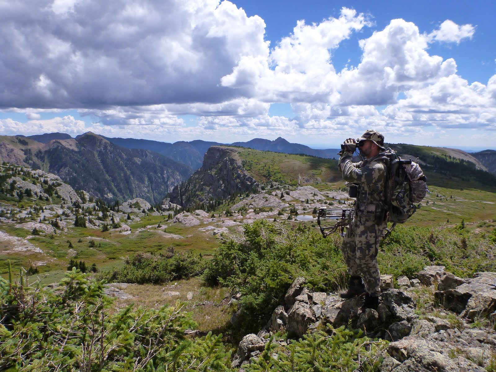 Colorado 2013 Archery Deer Hunt